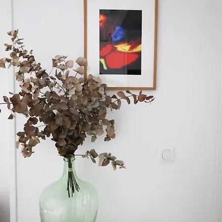 Big Flat In Montmartre